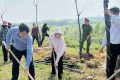 Hưởng ứng phong trào phát động “Tết trồng cây – Đời đời nhớ ơn Bác Hồ”