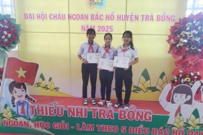 Đại hội cháu ngoan Bác Hồ cấp huyện.